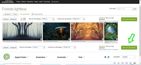 Dreamstime Video & Image Downloader .